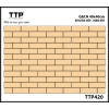 TTP420