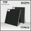 TTP612