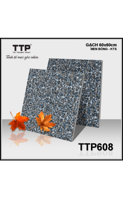 TTP608