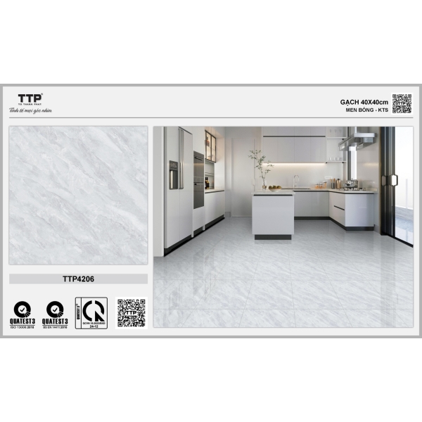 TTP4206