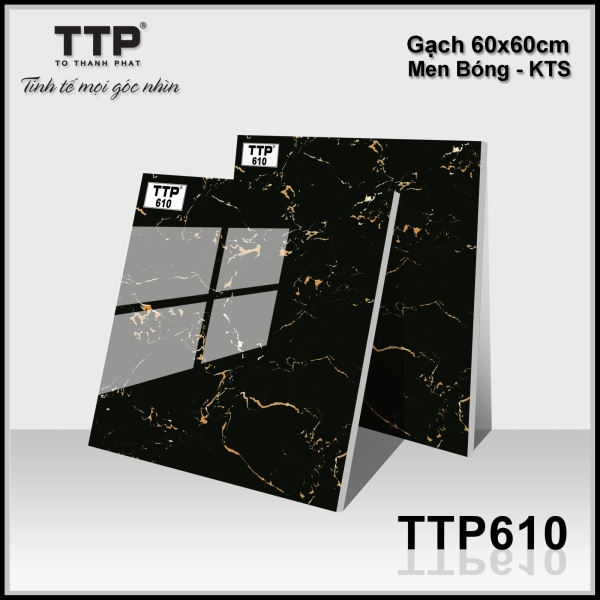 TTP610