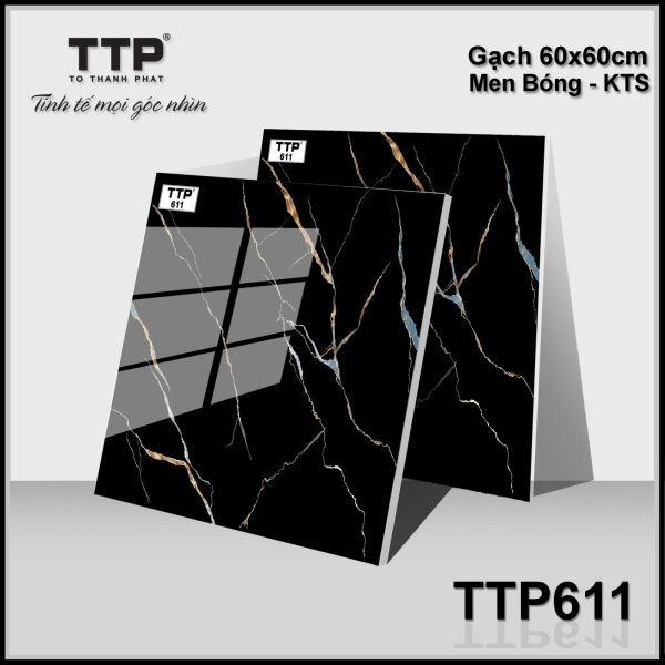 TTP611