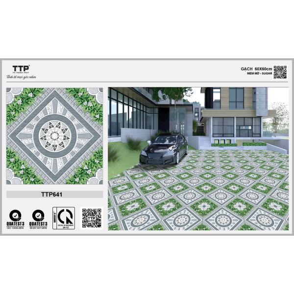 TTP641