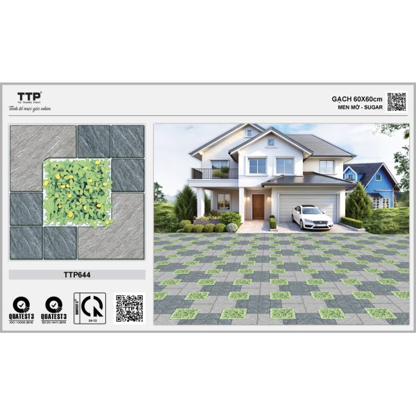TTP644